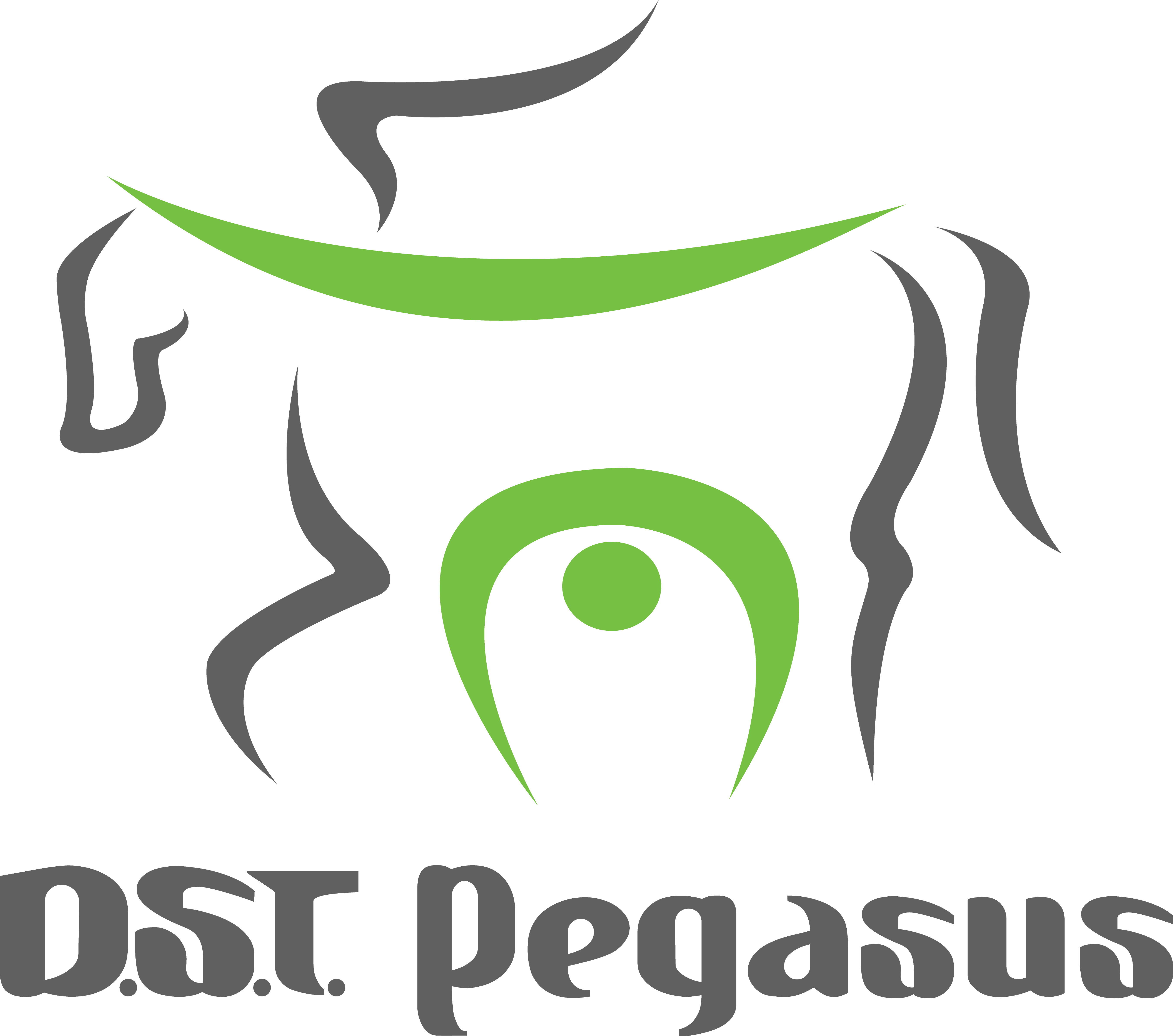 D.S.T. Pegasus